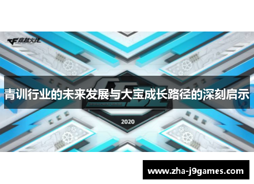 青训行业的未来发展与大宝成长路径的深刻启示 青训行业的未来发展与大宝成长路径的深刻启示